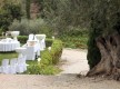Domaine Souviou/Production d'huile d'olive