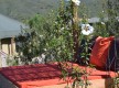 Algarve Safari Lodge