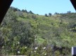 Algarve Safari Lodge