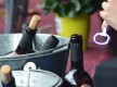 Vinos La Palma (D.O.)