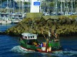 Port Haliguen
