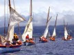 Regata de botes baleeiros