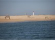Ilha do Farol