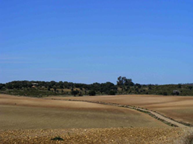 Ruta de senderismo 
