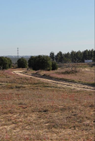 Ruta de senderismo Hinojos-Villamanrique