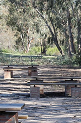 Arboreto del Villar