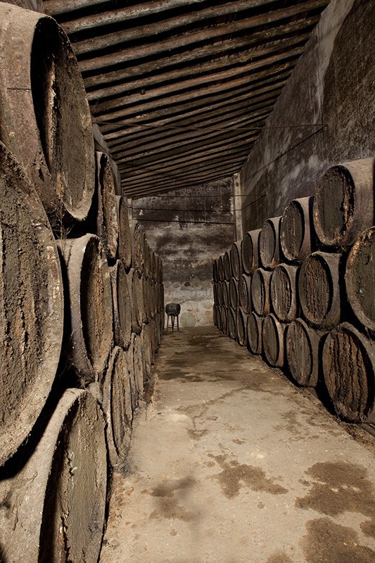 Bodegas Andrade