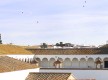Moguer