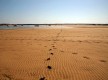 Vale da Lama | Meia Praia nascente