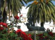 Plaza Joselito El Gallo