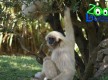 Zoo Lagos