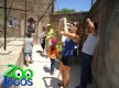 Zoo Lagos