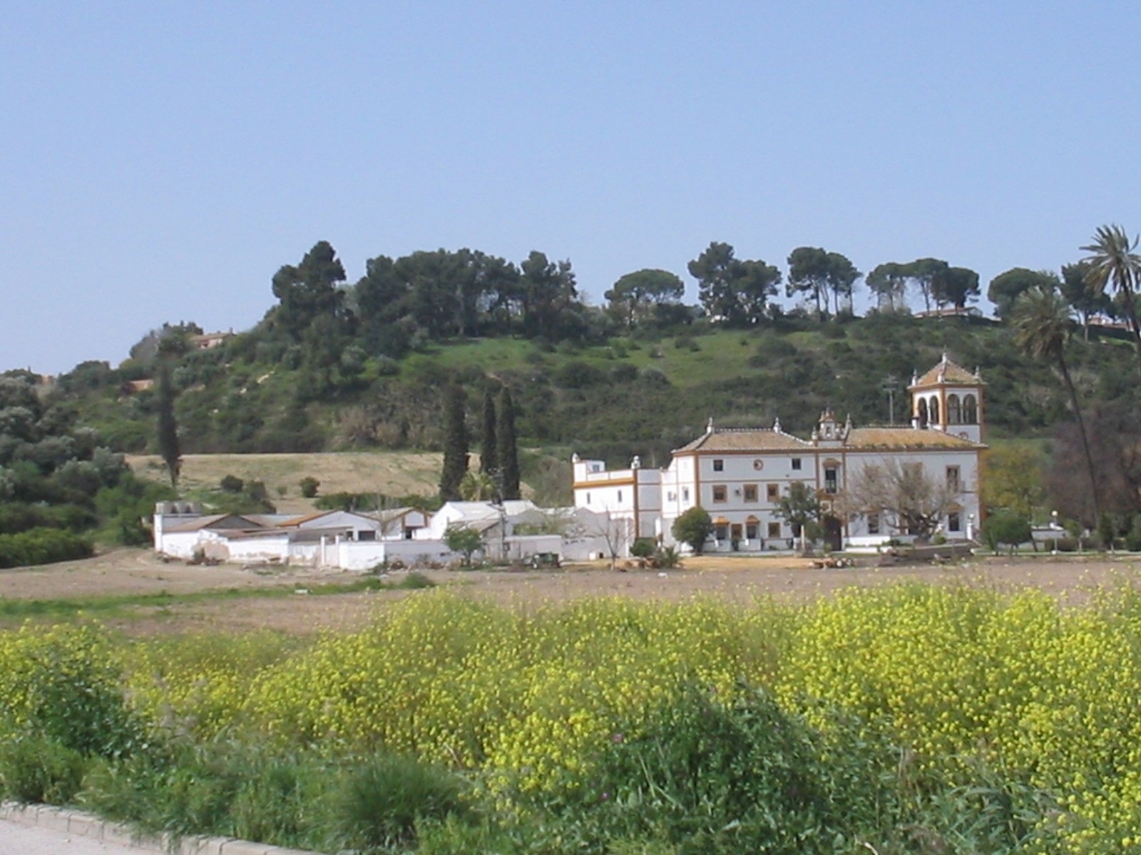 Hacienda Simón Verde