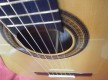 Guitarra