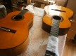Guitarras