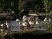 Cañada de los Pájaros