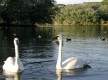 Cañada de los Pájaros