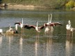 Cañada de los Pájaros