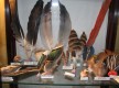 Exposición