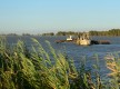 Isla Mínima
