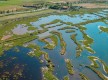 Flore, végétation et terroir de l'île Saint Martin