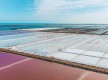 Flore, végétation et terroir de l'île Saint Martin