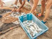 Une matinée de pêche traditionnelle