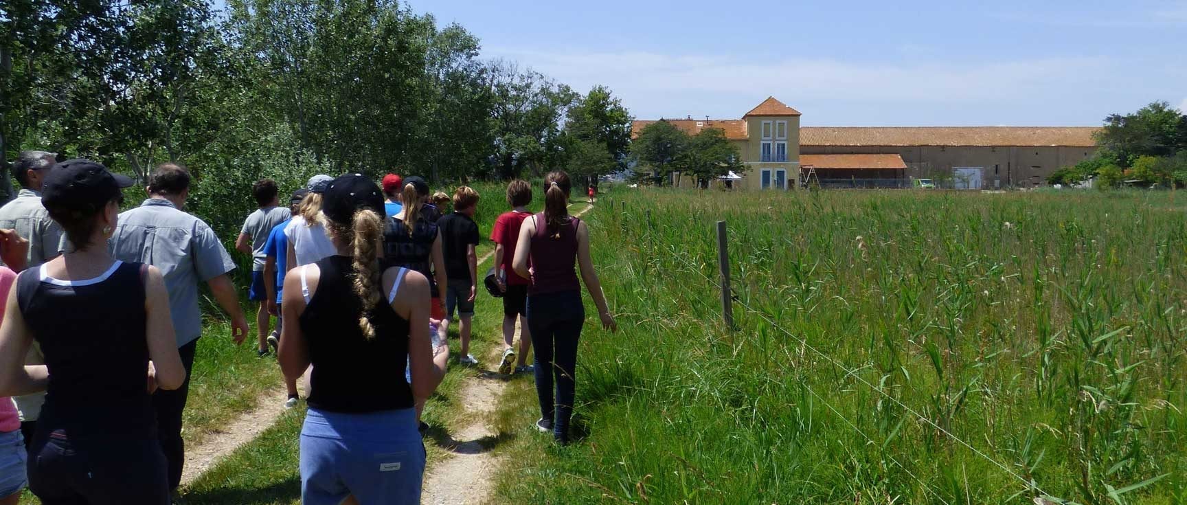 Une plongée dans le monde fascinant des marais du Grand Castelou