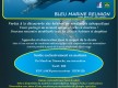 BLEU MARINE REUNION