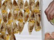 Feira Concurso Arte Doce