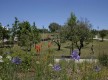 Parque da Cidade - Anel Verde