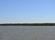 Espacio Natural de Doñana