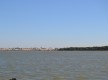 Bonanza y Doñana