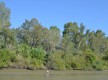 Orilla de Poniente, antes de la desembocadura del Ribera de Huelva