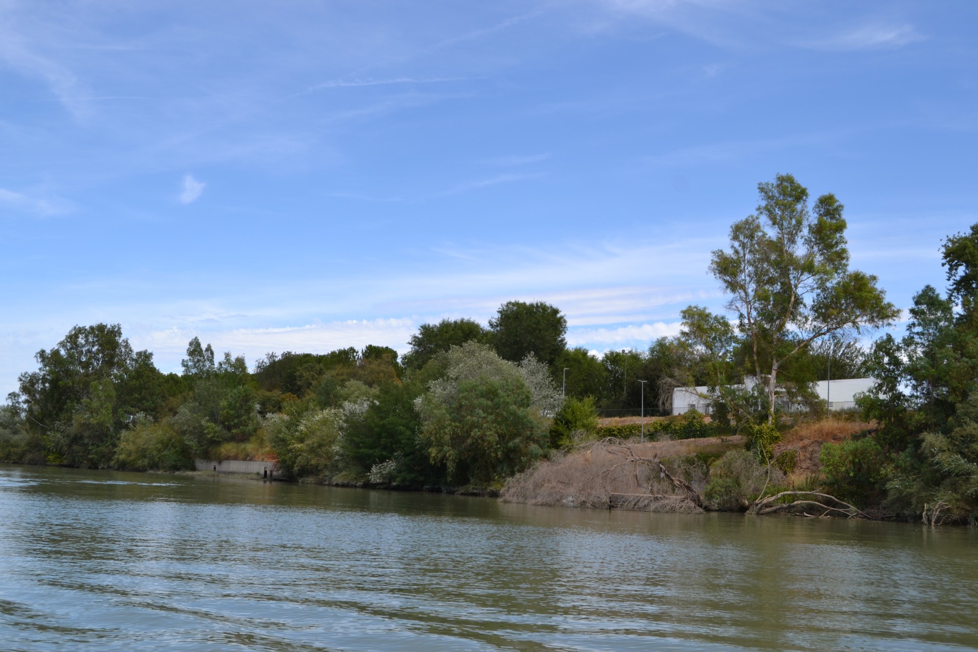 Brazo de Alcalá. El Eje del Agua. La Rinconada