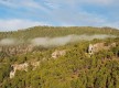 Pinar de Tamadaba