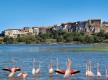 Bages, ancien village de Pêcheurs d'étang