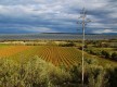 Un village médiéval entre eau douce et eau salée