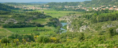 Un village vigneron