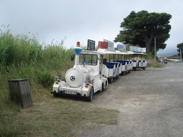 Balades en petit train