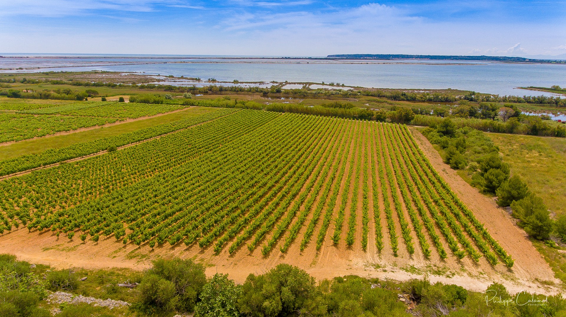 Spot Photo sur les salins de La Palme