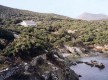 Les Pieds dans l'Eau© - Barcaggio - Tollare - Cap Corse Capicorsu