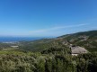 Palazzu NICROSI© - Rogliano - Cap Corse