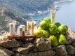 Cidralis Cap Corse© - Cosmétiques - Barrettali