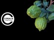 Cidralis Cap Corse© - Cosmétiques - Barrettali