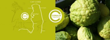 Cidralis Cap Corse© - Cosmétiques - Barrettali