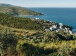 Domaine Terra di Catoni© - Porticciolo - Cap Corse Capicorsu
