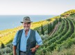 Domaine Terra di Catoni© - Porticciolo - Cap Corse Capicorsu