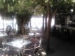 Bar Chez Jean© - Santa Severa - Cap Corse Capicorsu