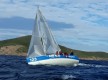 CNM© - Sfida Capicursina 2019 - Macinaggio - Rogliano